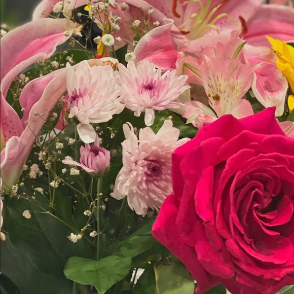 Meet your Posher, Cline 😍🧘🏻♀️☀️🏡🙏🏼 - Picture 9 of 16